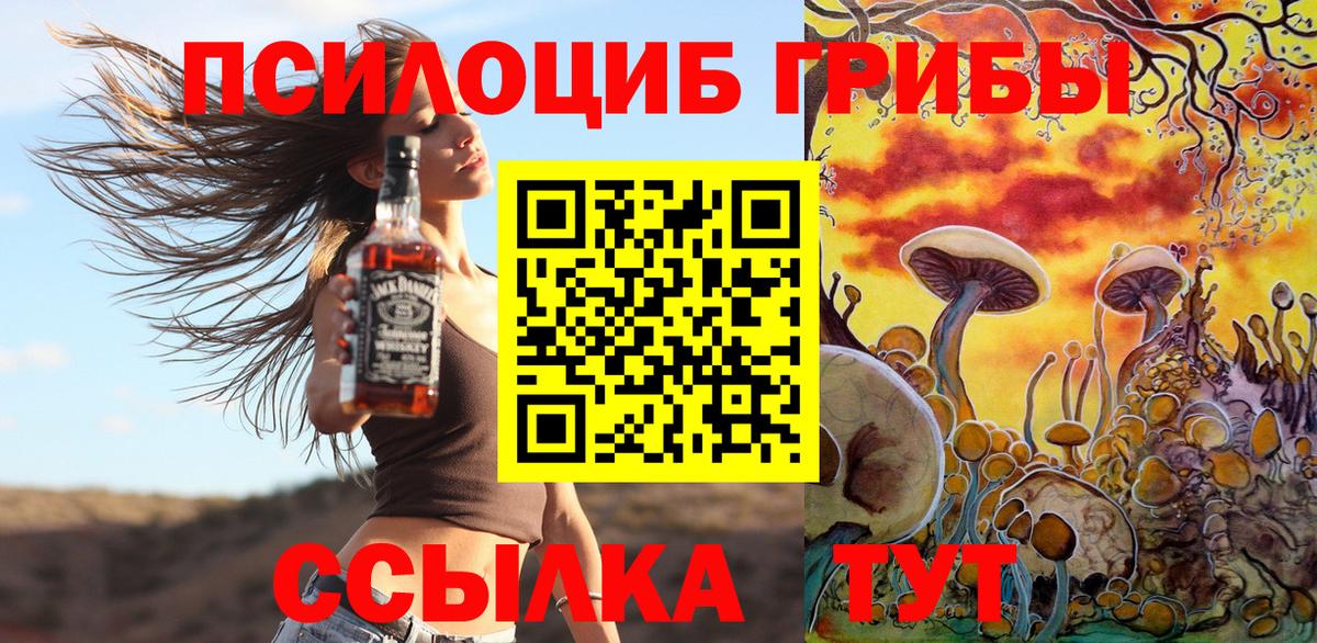 Псилоцибиновые грибы прущие грибы  Вход с VPN  Мирный 