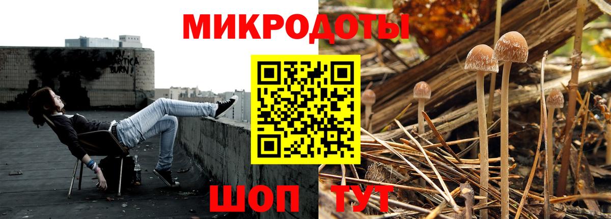 Галлюциногенные грибы Cubensis Мирный